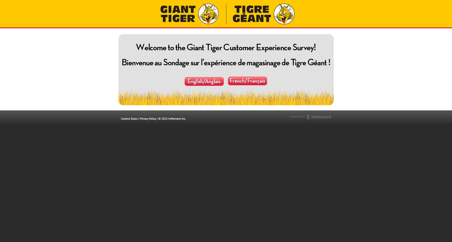 Giant Tiger Customer Experience Survey Submit Surveys